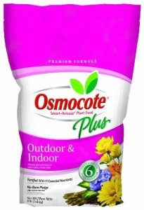 Osmocote is a great time-release fertilizer that I use on all my houseplants.